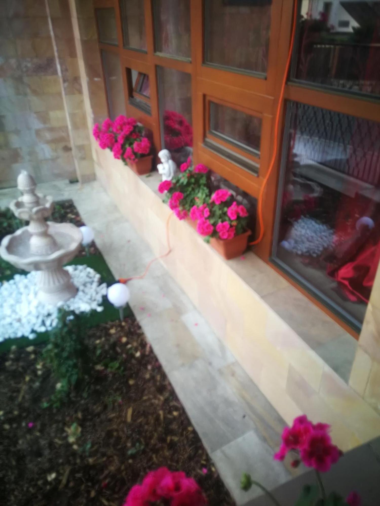 Vila Barrandovska Patro 2 布拉格 外观 照片